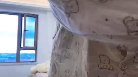 308