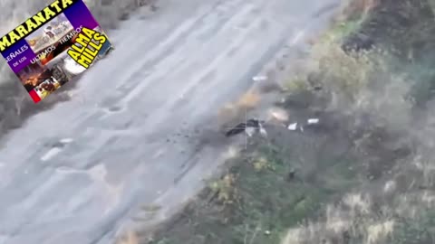 DRON ATACA A UNA ANCIANA Y LA MATA AL INSTANTE