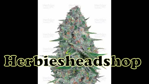 25 of the strongest cultivars on earth old youtube