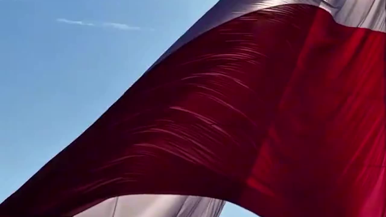 🇵🇱 Dziś 11 listopada - Narodowe Święto Niepodległości❗️🤍❤️