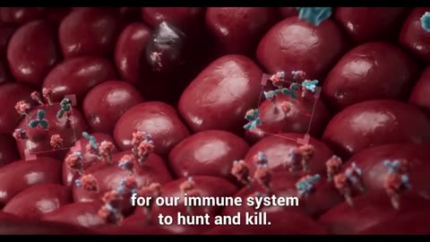 🆘💉☠️ Inside mRNA Vaccines: The Movie (2025) 💉☠️⚠️🔥⚠️