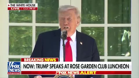 "🚨 Trump Breaking News: Shocking Revelations Change Everything for 2024 Election! 🇺🇸"