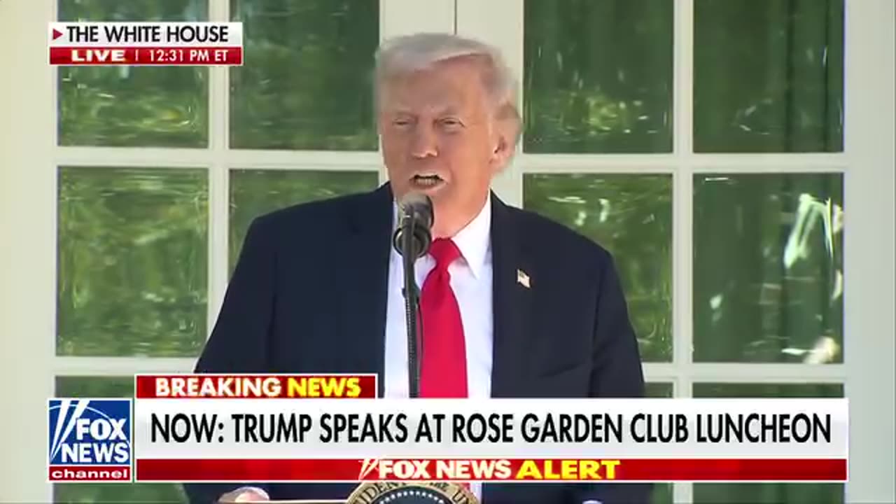 "🚨 Trump Breaking News: Shocking Revelations Change Everything for 2024 Election! 🇺🇸"