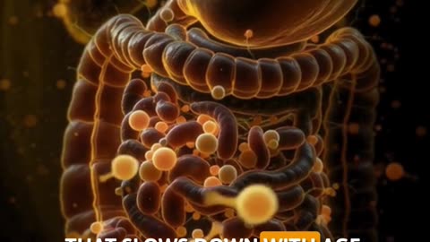 HIDDEN BLOAT: Why Your Stomach Is ALWAYS Heavy After 35 (It's Not Food!)