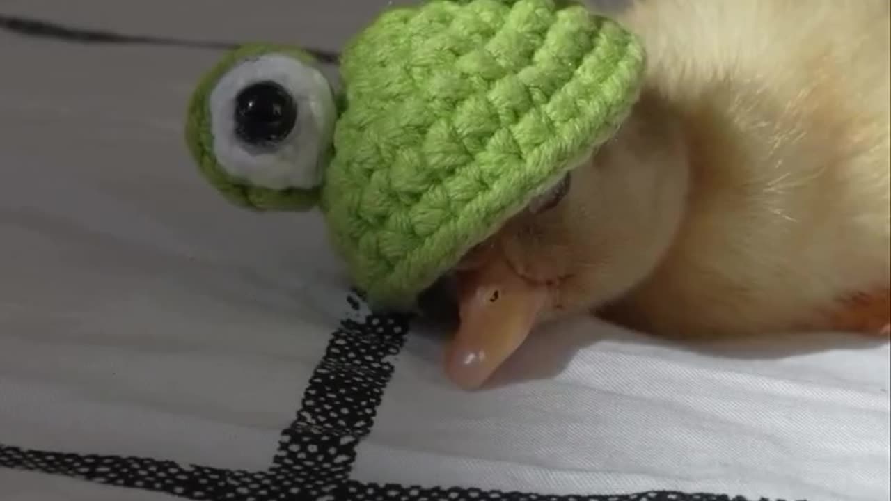 💤