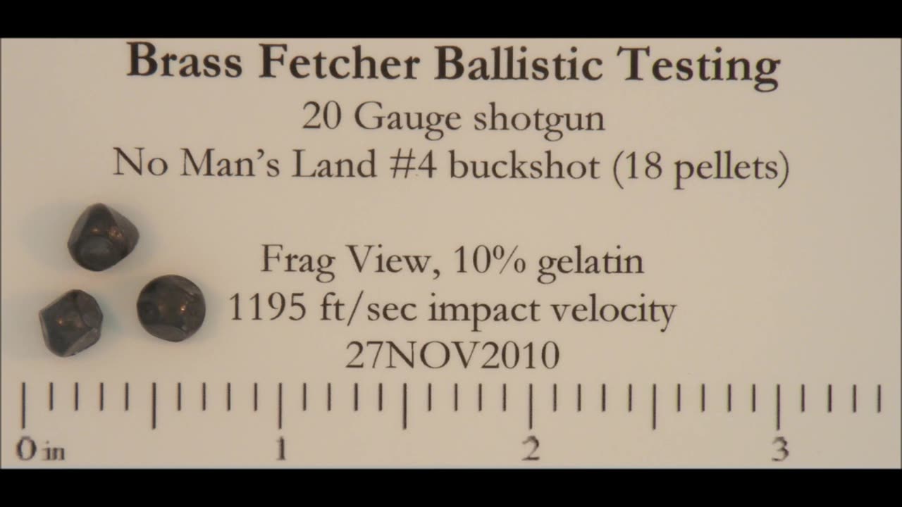 20ga Shotgun #4 Buckshot