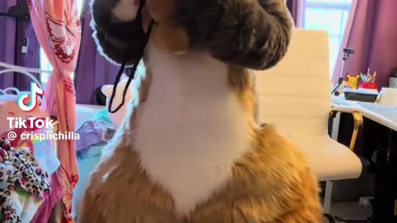 .
