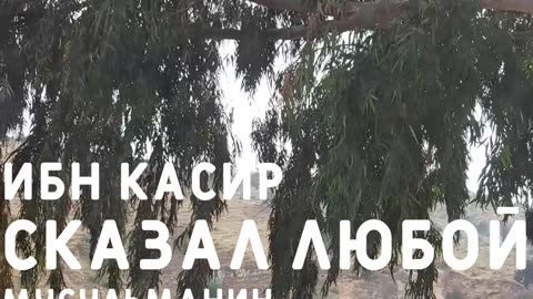 Стремление мусульман к святыне Кааба. Откройте для себя глубокую связь мусульман с Каабой!