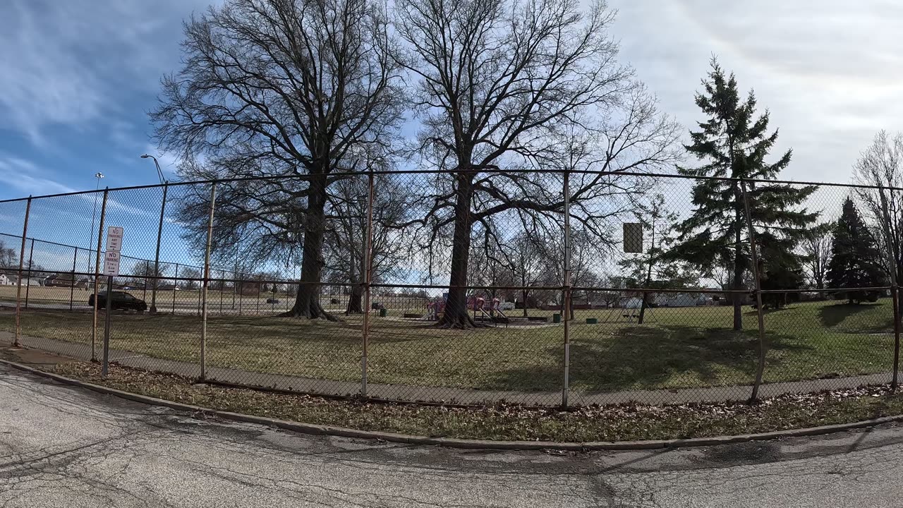 Episode 69 - Noise pollution, trees, and a world going deaf