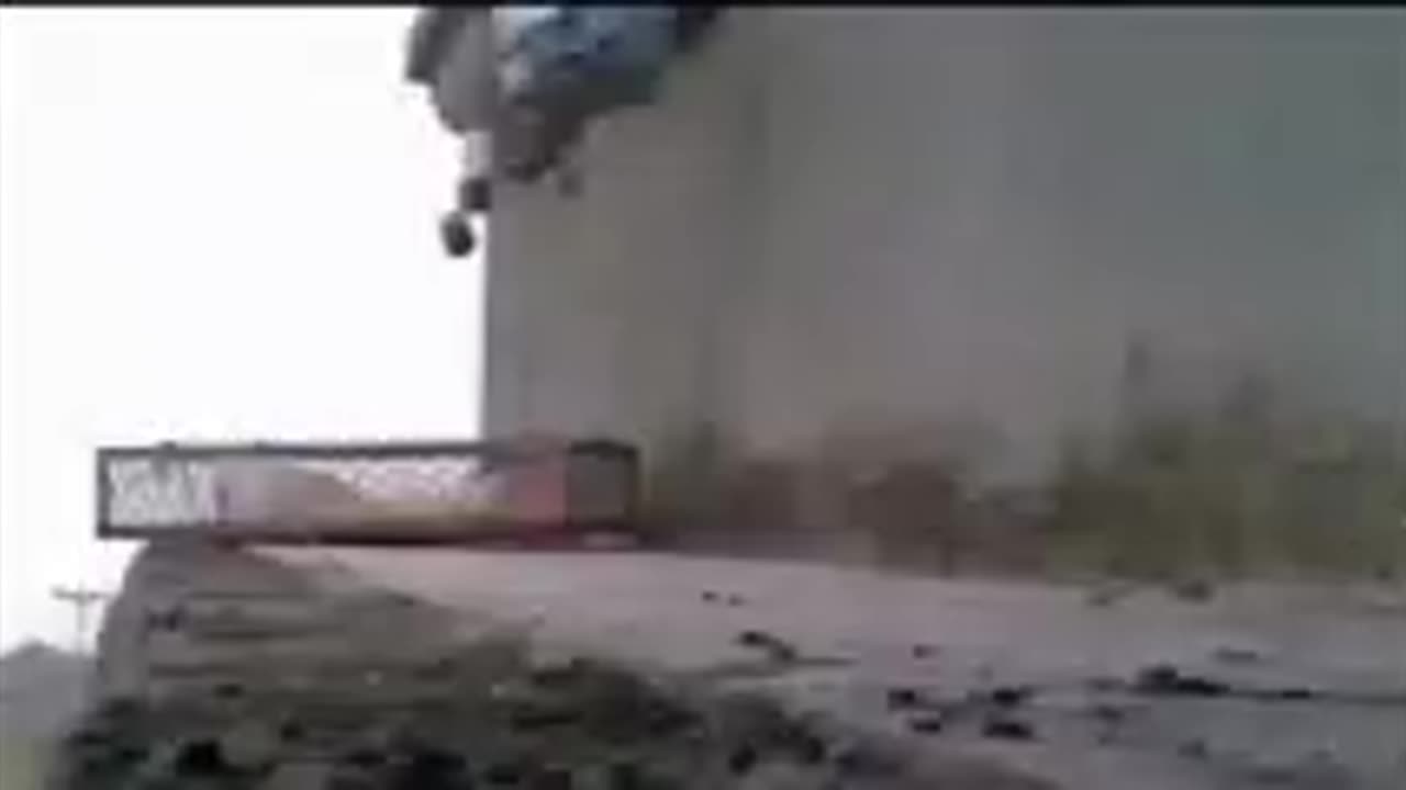 Animals Getting Shocked with Funny Sound Effects!!