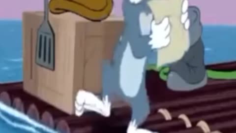 funny funny videos funny jokes funny animals funny memes funny movies funny bone funny pictures