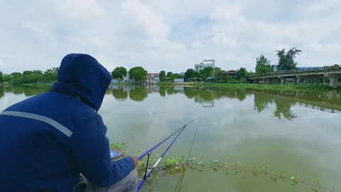 Bluegill Bonanza A Kids Delight