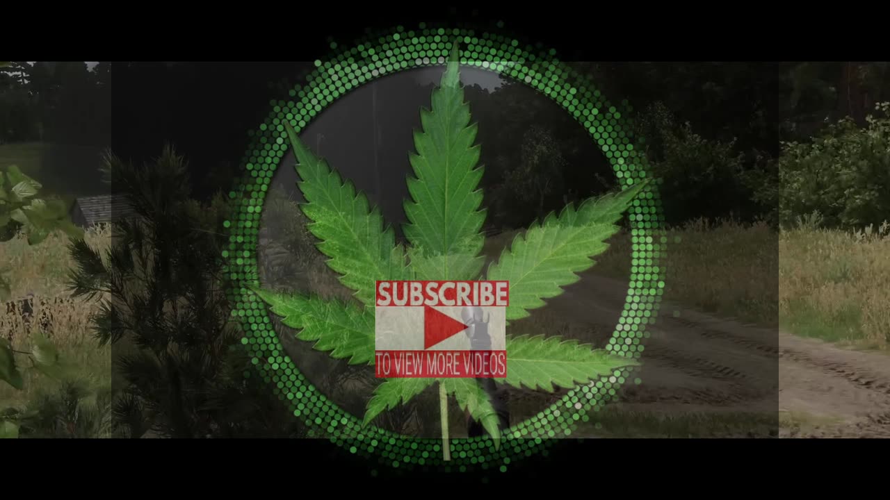 How To Ambush and Win in ARMA Reforger (Tactics & Strategy)