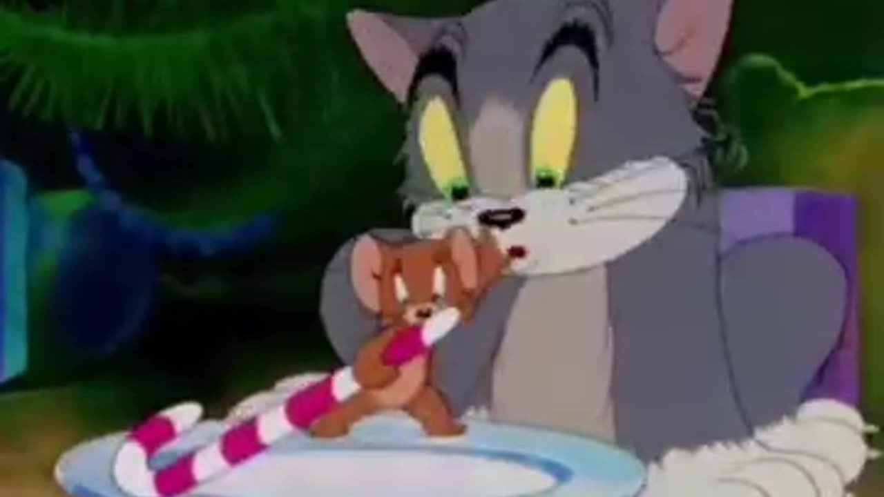 Tom and jarry funny vidieo