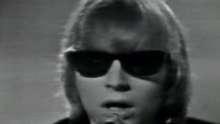 The Yardbirds - For Your Love = Shindig 1965