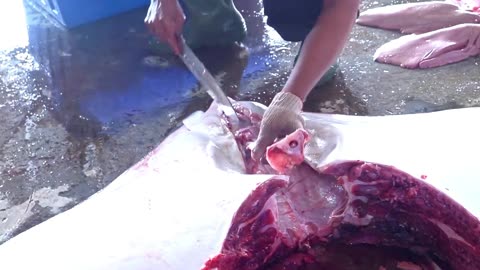 Seaport Fish Market, Manta Ray Fish Cutting
