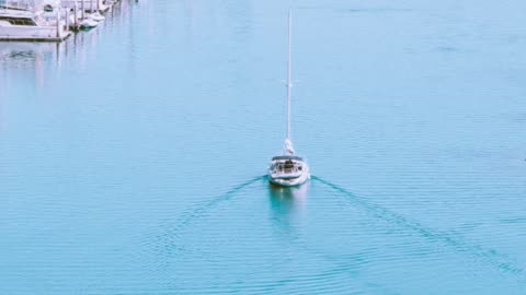 Have you seen our LIVE fishing shows? #743