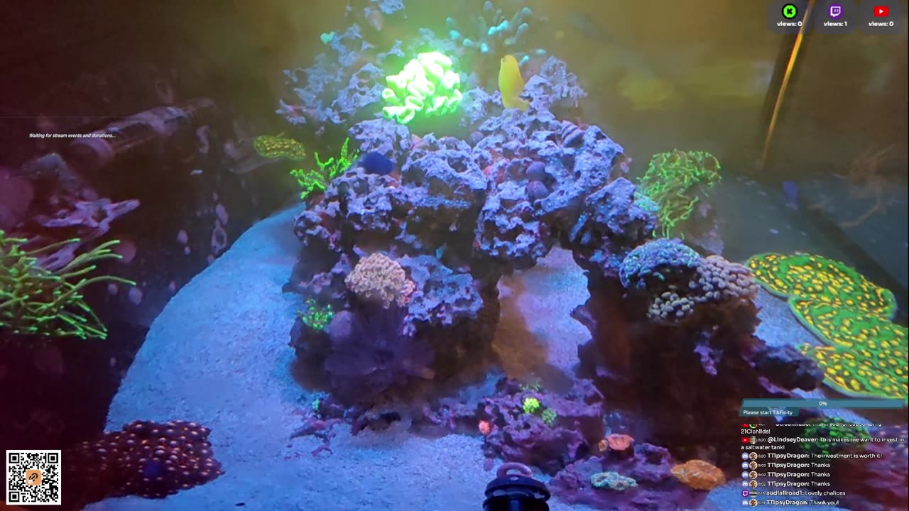 24/7 Real Live Reef Stream
