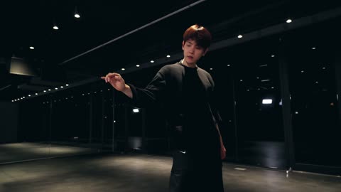 엑소 백현 밤비 Choreography Dance Practice Mirrored