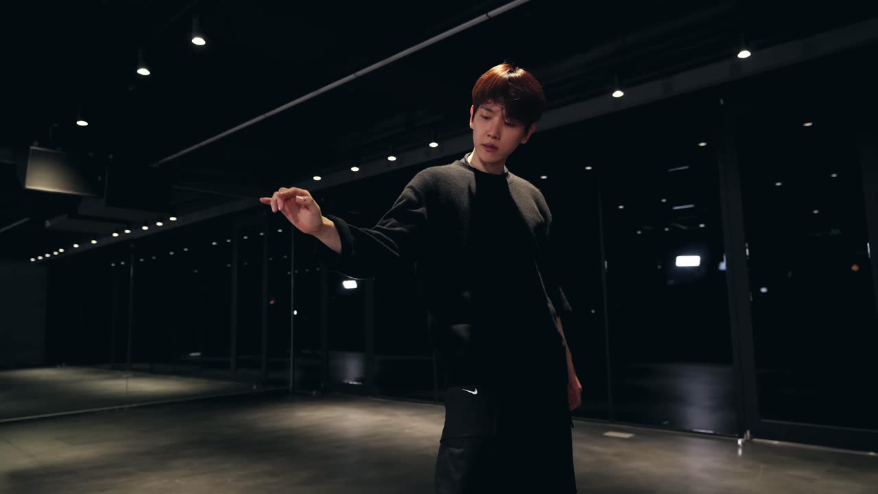 엑소 백현 밤비 Choreography Dance Practice Mirrored