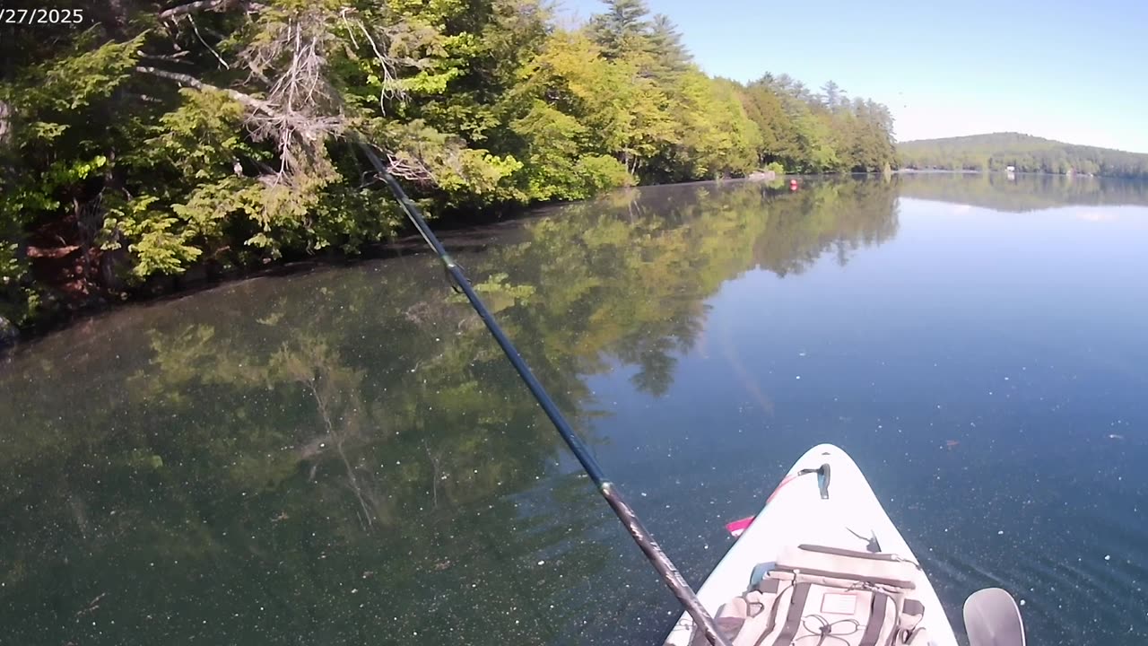 Clear water bass