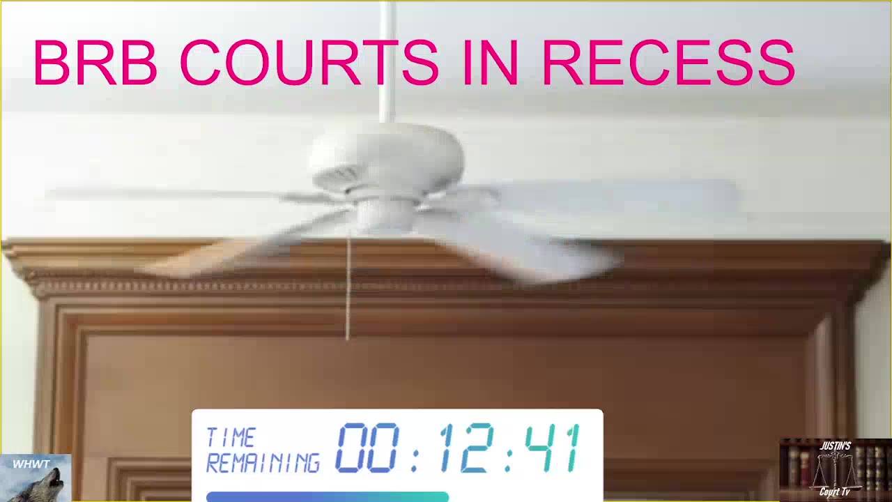 Karen Read Murder trial DAY 19