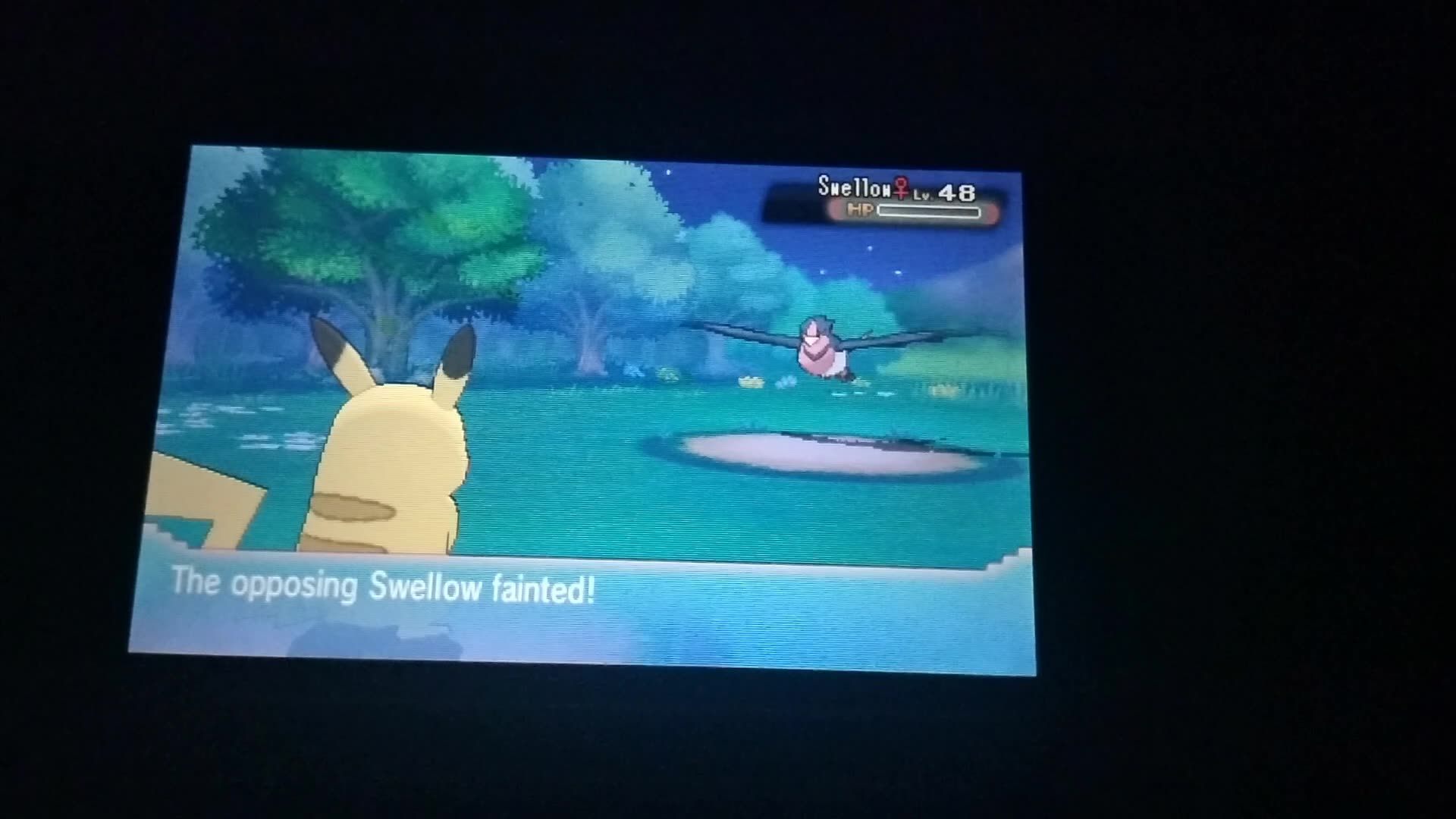 Pokemon Omega Ruby: The Final Battle