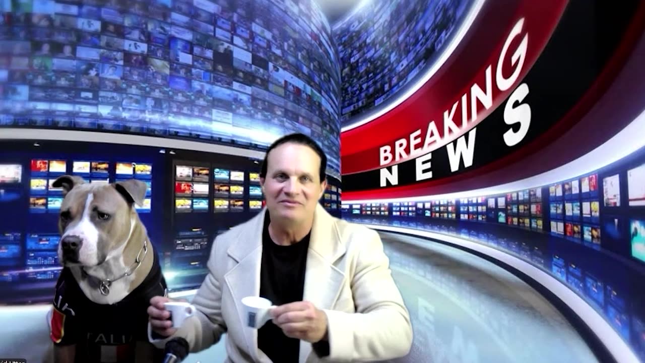 Dog Attacks Podcast News