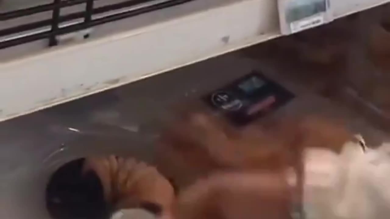 He eats for free because he knows that French taxpayers will pay.