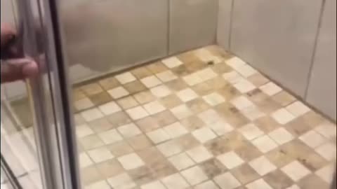 😱🐜 The Ultimate Roach Solution You Won’t Believe! | FunFM