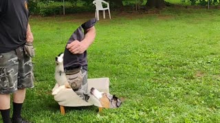 Shaping the Heel cue short 2