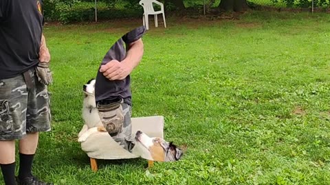 Shaping the Heel cue short 2