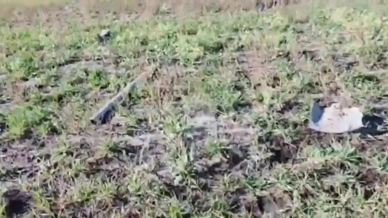 🔫💡 Ukraine Russia War | Russian "Nomad" Unit Uses Laser to Down Ukrainian Drones | RCF