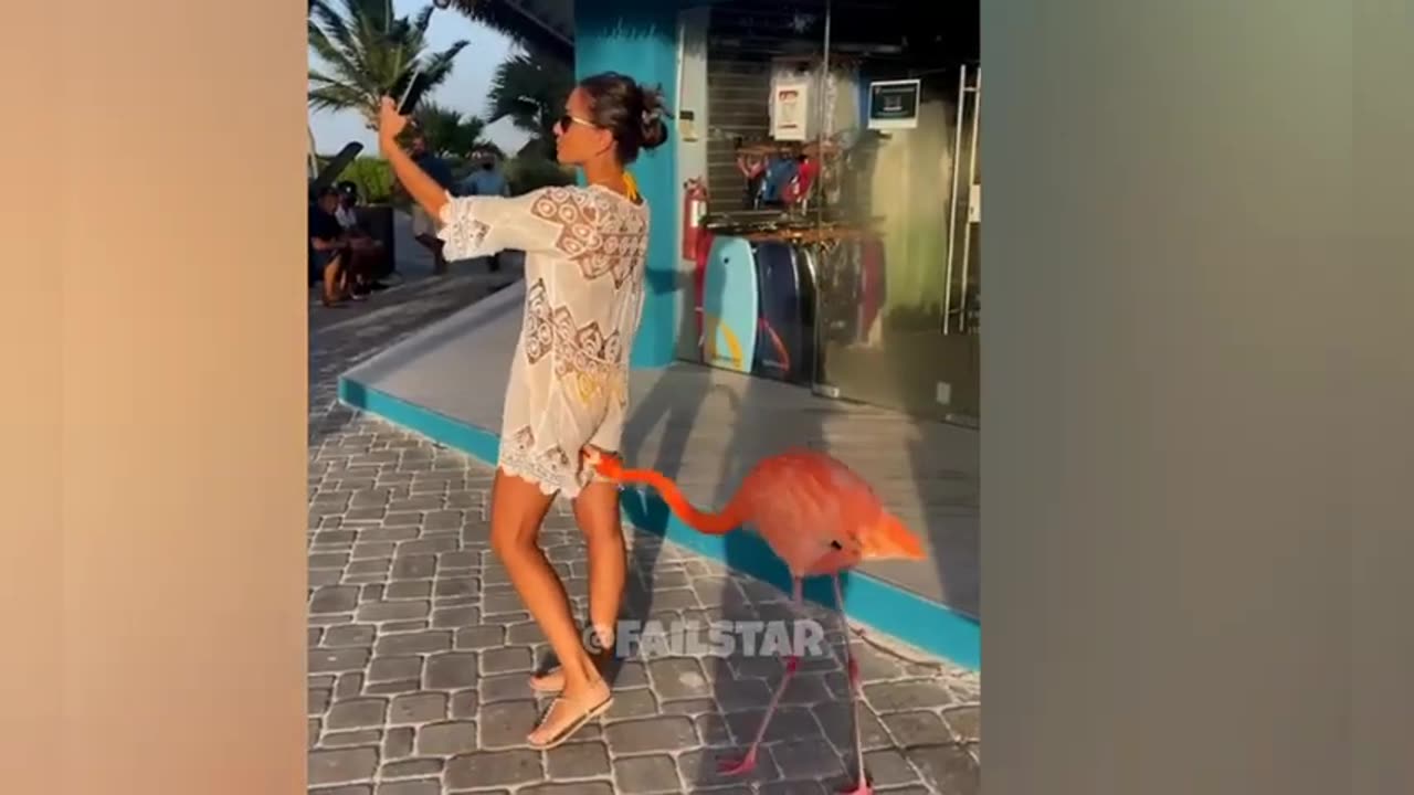 Best Fails of The Week: Funniest Fails Compilation: Funny Video