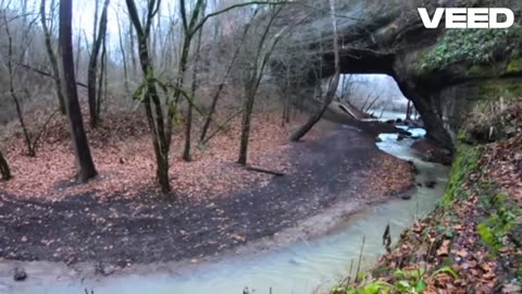 Three Cat Night [Knights of the Storm Remix]