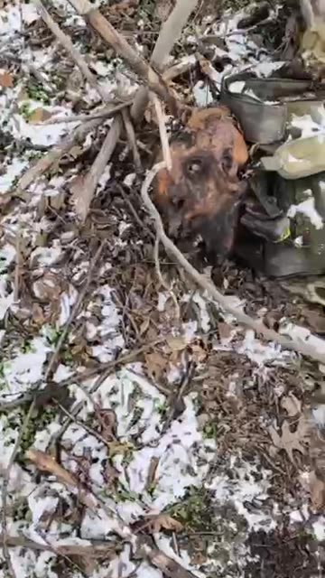 Ukraine war combat/related footage 12/30/25