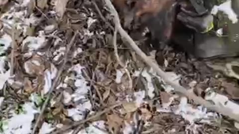 Ukraine war combat/related footage 12/30/25