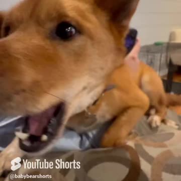 There is NO Resistance