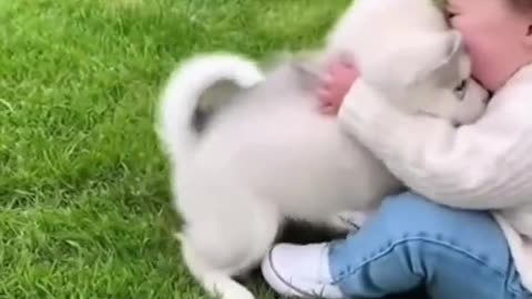 Cute Baby Playing with Animals | Adorable Baby and Pet Moments 2025