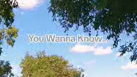 You Wanna Know...