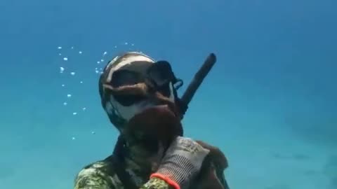 Next time he’ll think twice before trying to annoy an octopus.