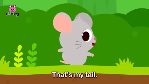 Did You Ever See Pinkfong’s Tail? | Animal Songs of Pinkfong Ninimo | Pinkfong Kids Song