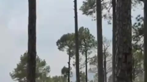 tiktok funy video
