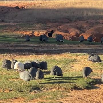 Snacks are where you find them!!!!