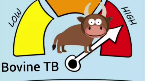 Is Cow Bovine TB a scam?