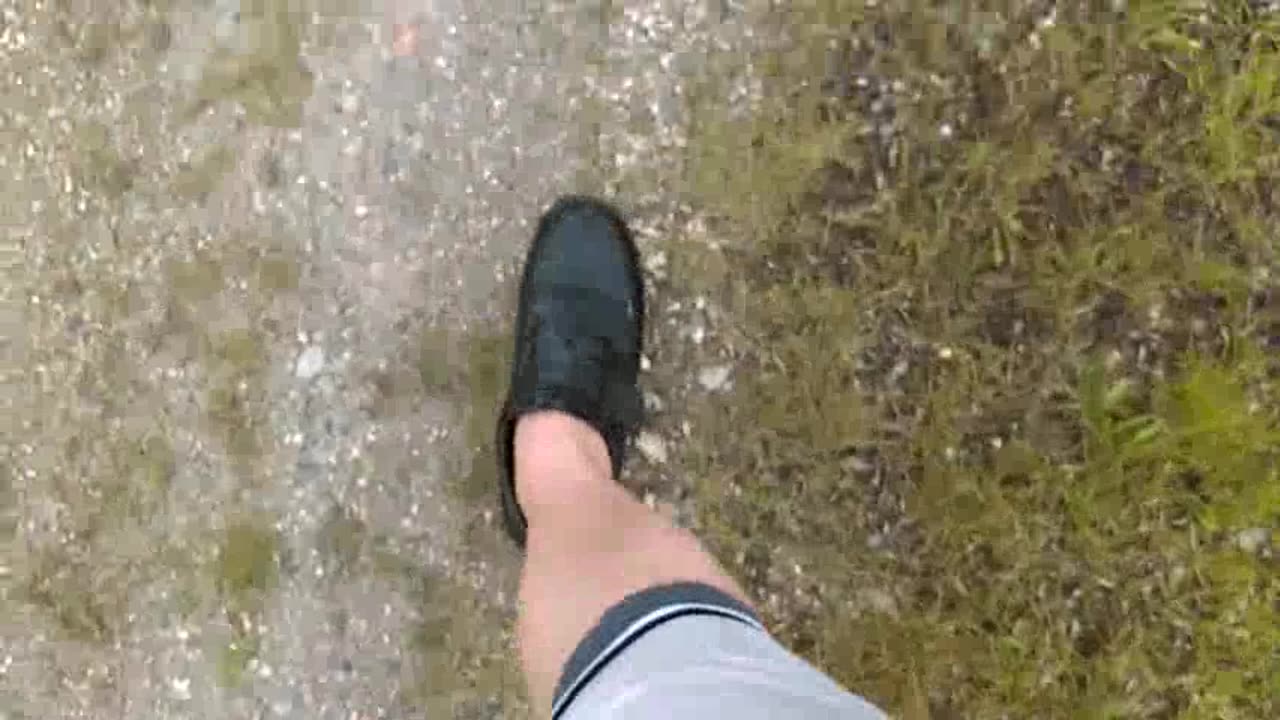My Walk - Date: 7/3/2016