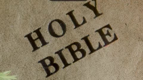 Journey of faith and spiritual growth Proverbs 29:25 Daily Bible Verse