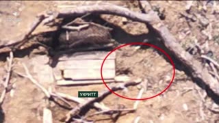 🔥Border guards of the RUBpAK "Strix" destroyed an enemy position, a vehicle,