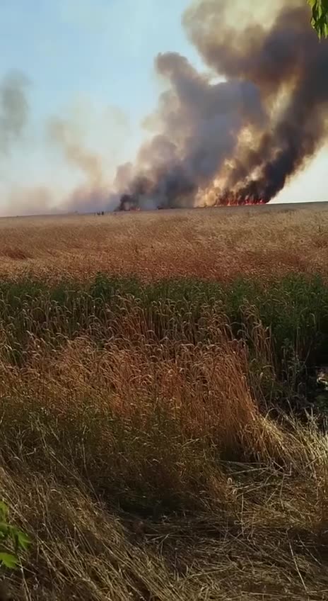 Brush Fire Approaching Russian Lines