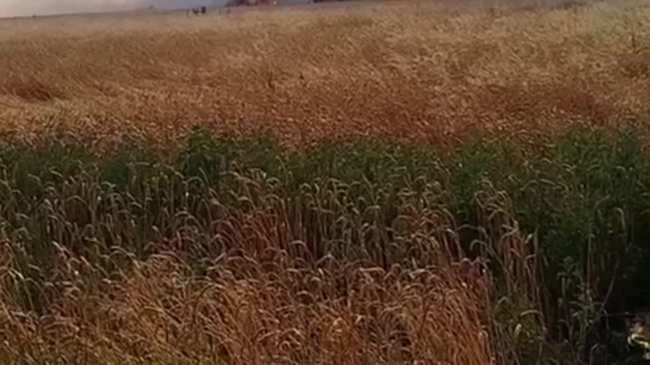 Brush Fire Approaching Russian Lines